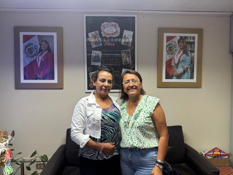 Reunión con la congresista Alcarraz Agüero Yorel Kira